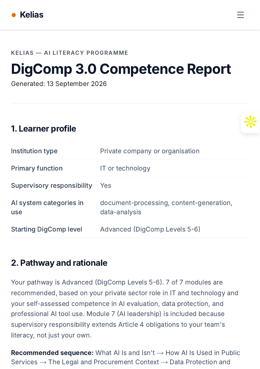 Kelias DigComp 3.0 Competence Report — learner profile and pathway rationale